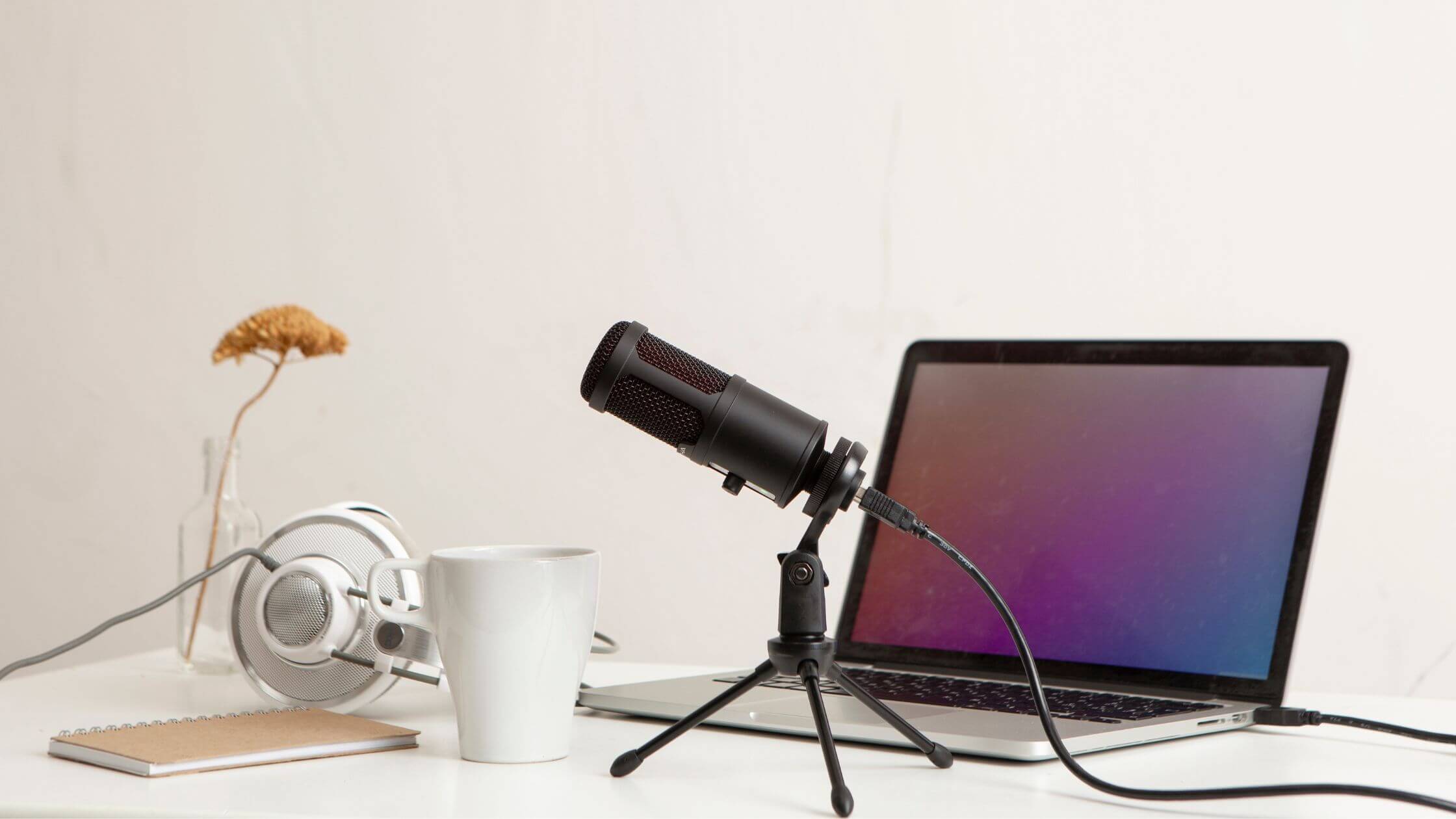 Podcast Interview Platforms That Are Dominating Market